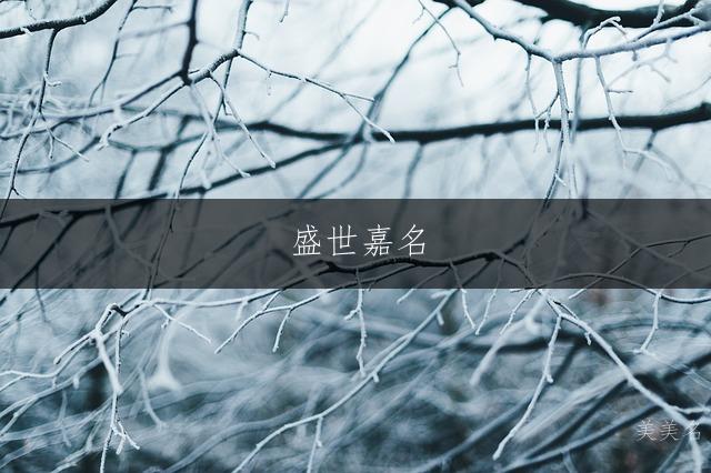 盛世嘉名,朱姓男孩的单字臻选