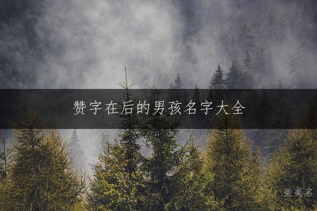 赞字在后的男孩名字大全