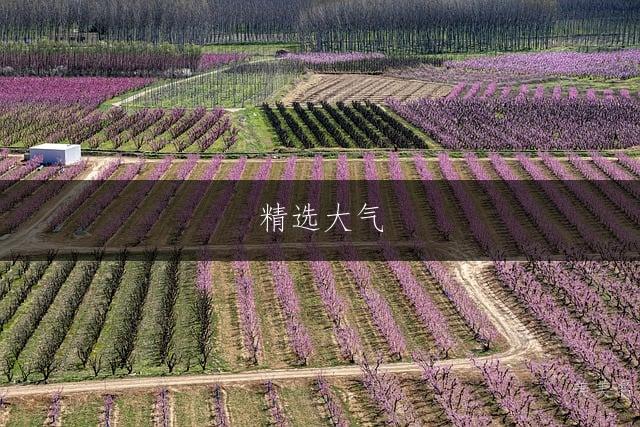 精选大气,五行带火的男孩名字