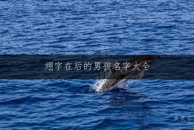 翊字在后的男孩名字大全