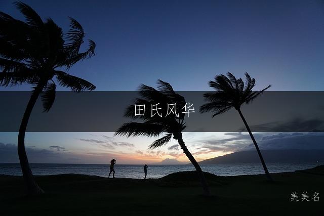 田氏风华,专属男孩的田姓单字佳名