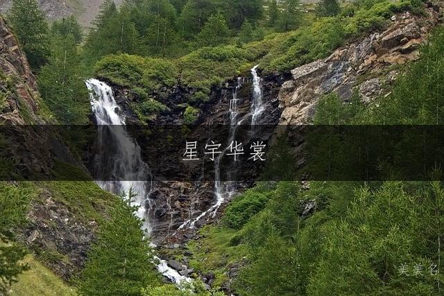 星宇华裳,带衣字旁的男孩名字