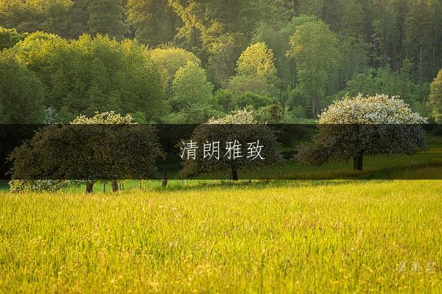 清朗雅致,带崔字的男孩佳名