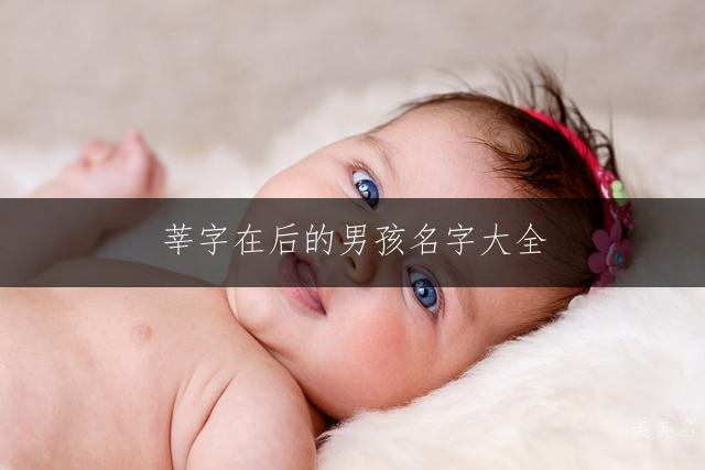 莘字在后的男孩名字大全