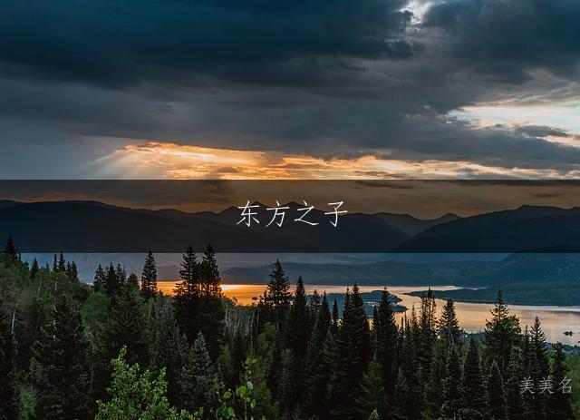 东方之子,董门的承余姓带余字的俊朗男孩名字