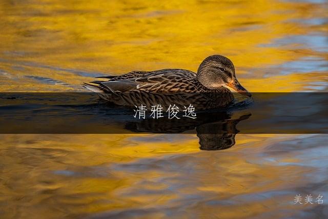 清雅俊逸,余姓带潜字的男孩名字