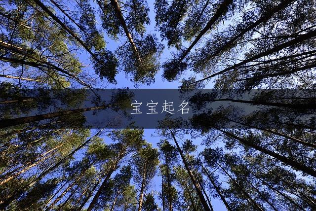 宝宝起名|寓意豁达开朗的男孩名字推荐