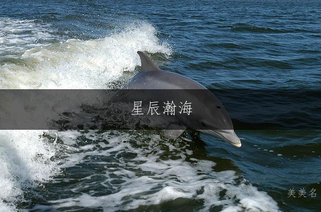 星辰瀚海,带哲字的大气男孩名字