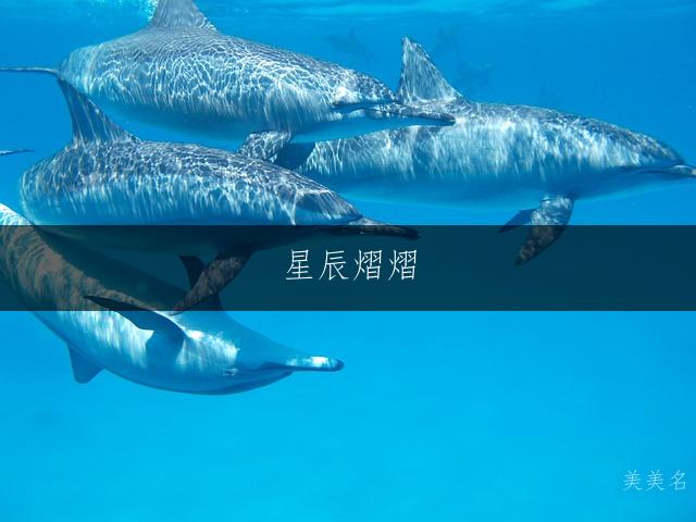 星辰熠熠,带火字旁的男孩名字