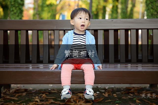 繁简相衬,尽显气韵的男孩名字