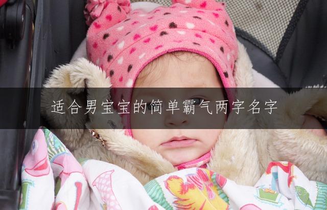 适合男宝宝的简单霸气两字名字