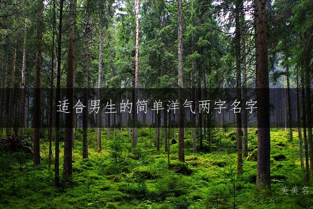 适合男生的简单洋气两字名字