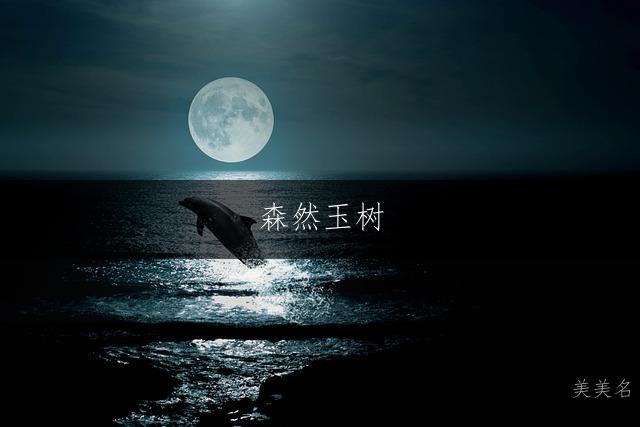 森然玉树,五行带木的男孩名字