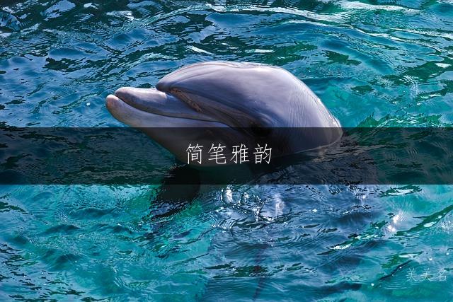 简笔雅韵,谢氏男孩三字佳名