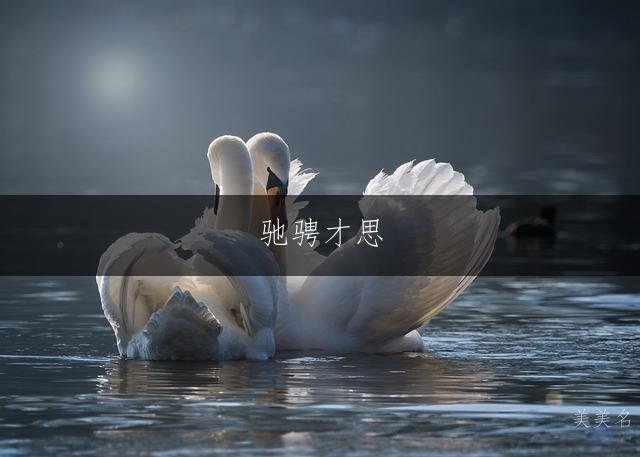 驰骋才思,属马男孩的博识佳名;