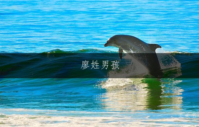 廖姓男孩,简约大气的三字佳名