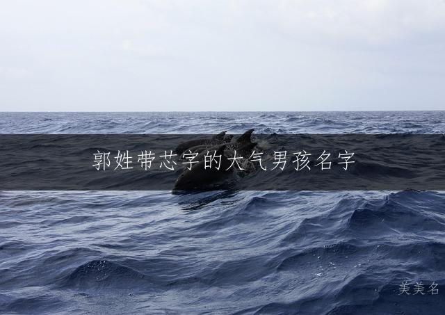 郭姓带芯字的大气男孩名字