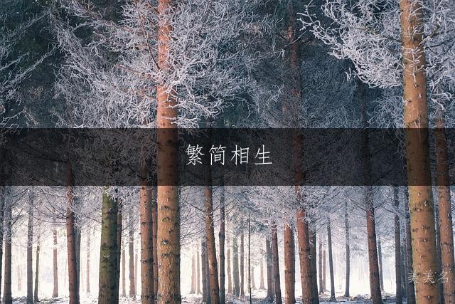 繁简相生,尽显洋气的男孩名字