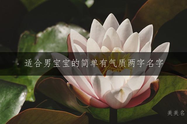 适合男宝宝的简单有气质两字名字