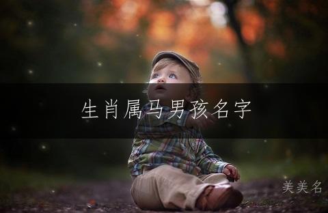 生肖属马男孩名字,独特不重名的取名指南