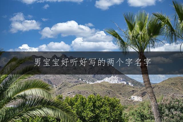 男宝宝好听好写的两个字名字