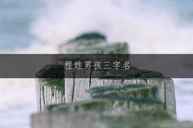程姓男孩三字名,极简笔画之选