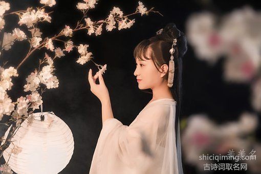 竹朵(zhú duǒ)